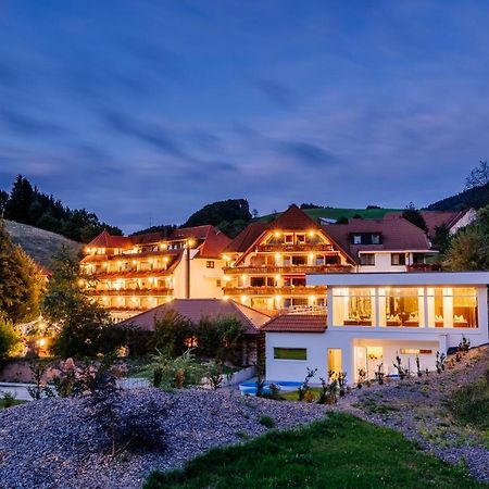 Wellnesshotel Ludinmuehle Freiamt Kültér fotó